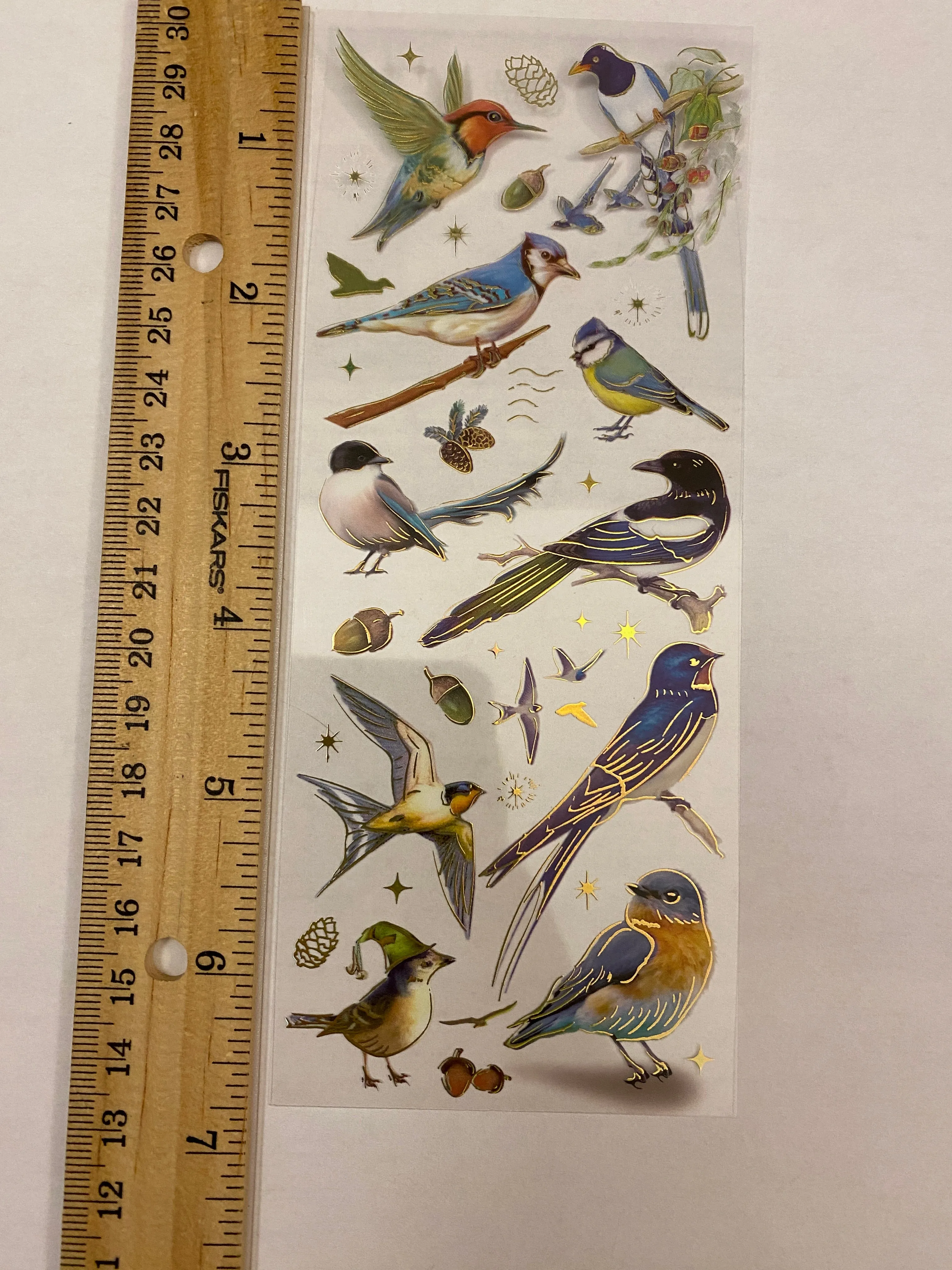 PET Foil Clear Tape with Blue Birds