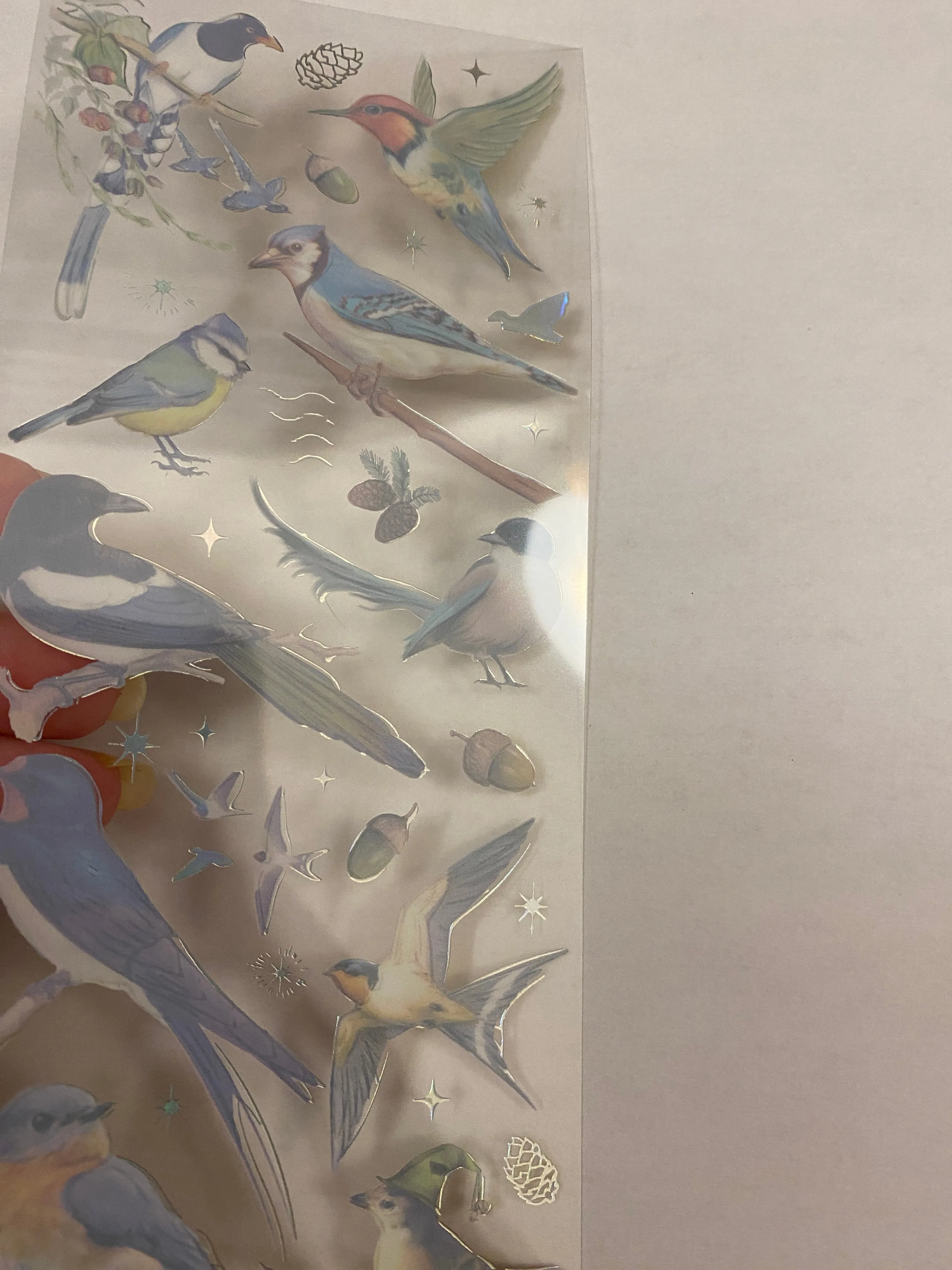 PET Foil Clear Tape with Blue Birds