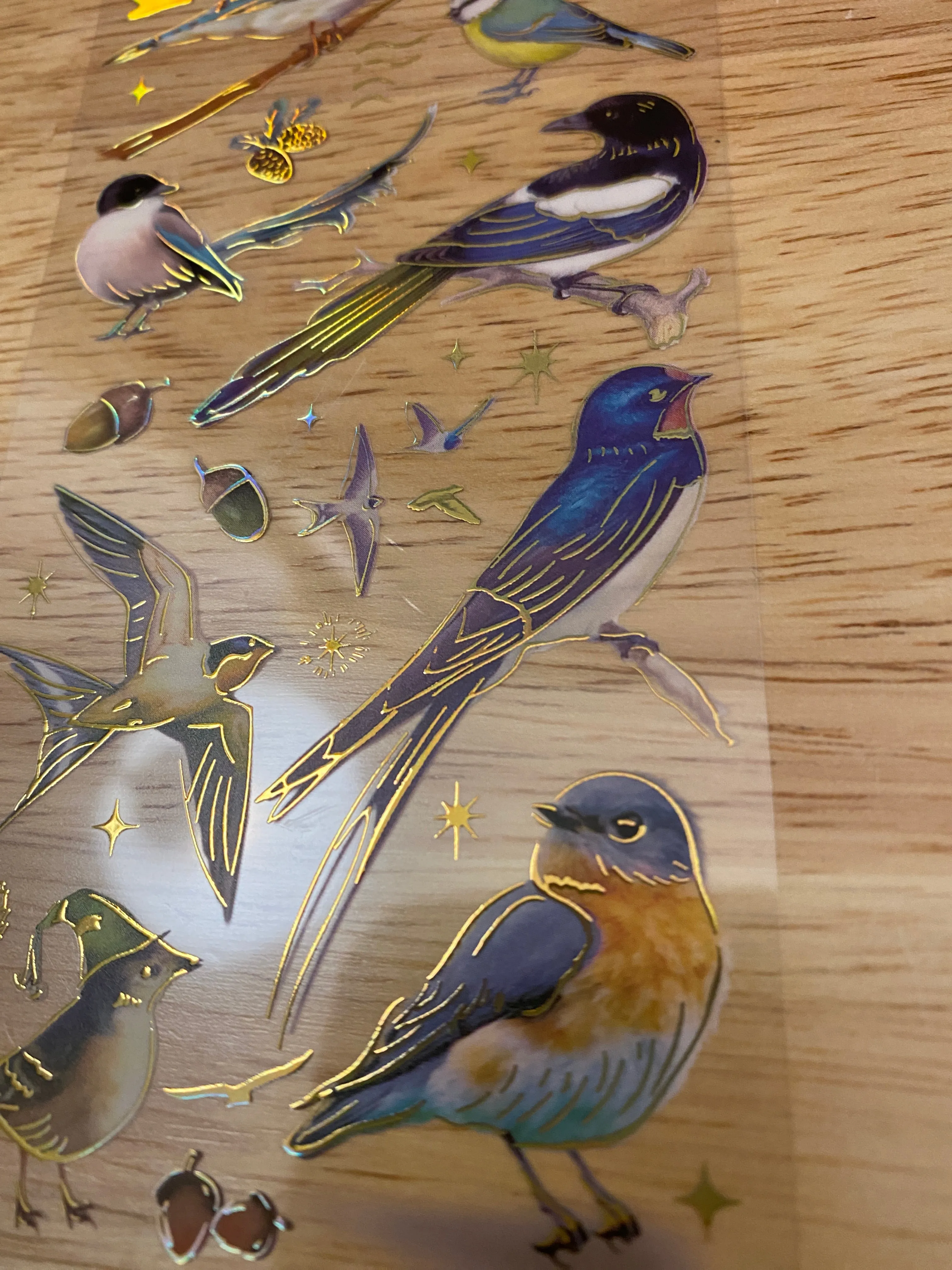 PET Foil Clear Tape with Blue Birds