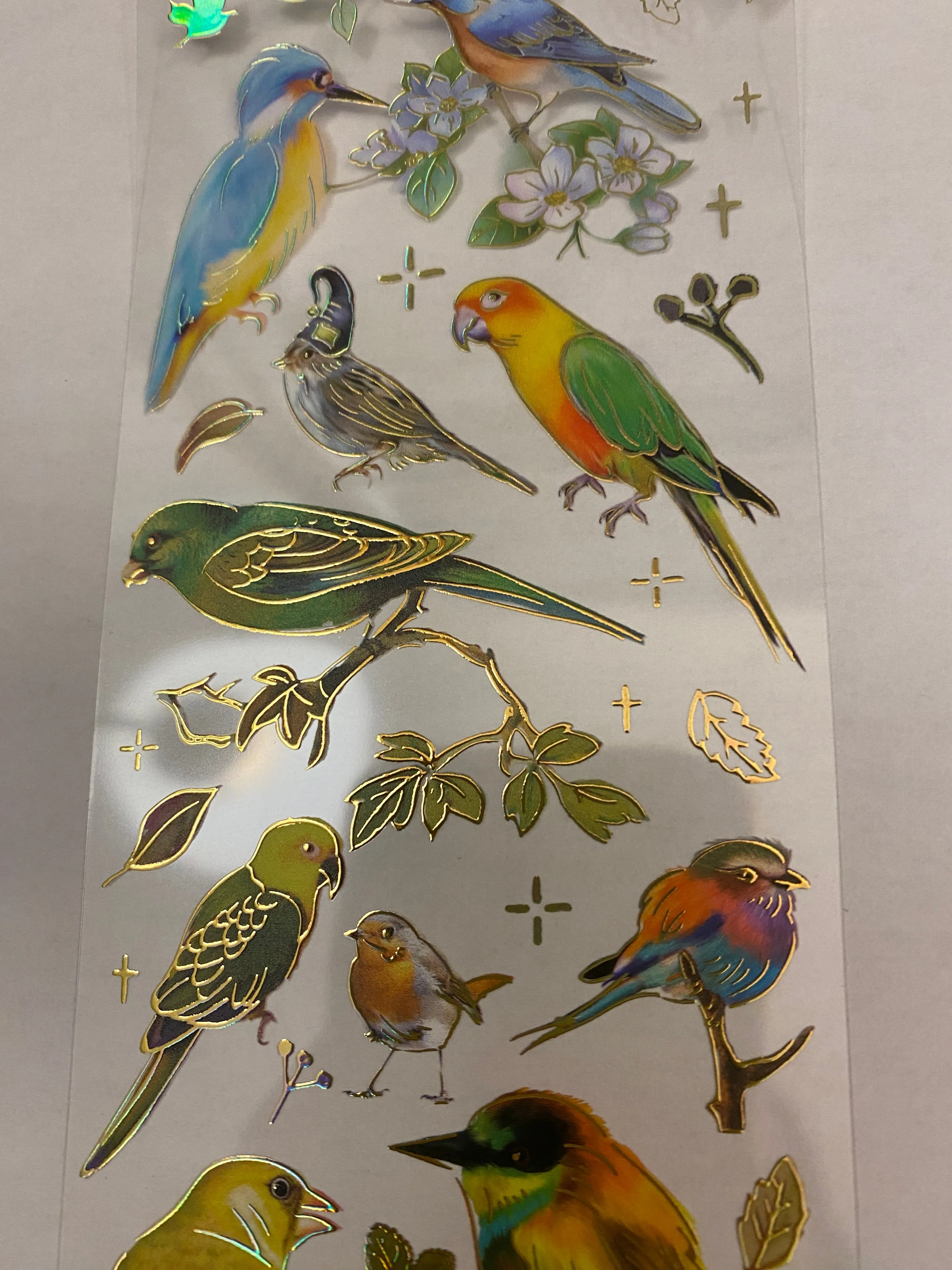 PET Foil Clear Tape with Green Birds