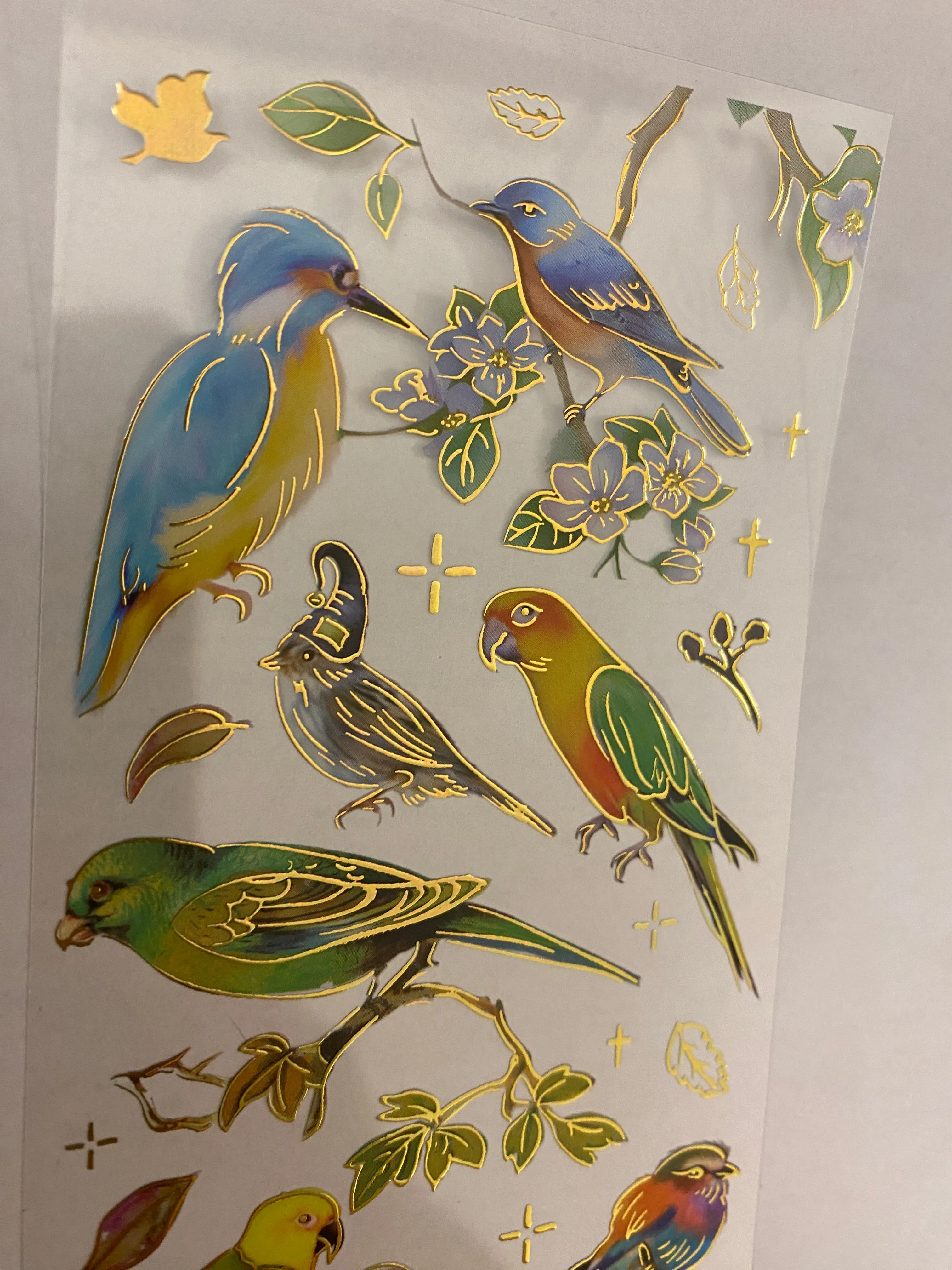 PET Foil Clear Tape with Green Birds