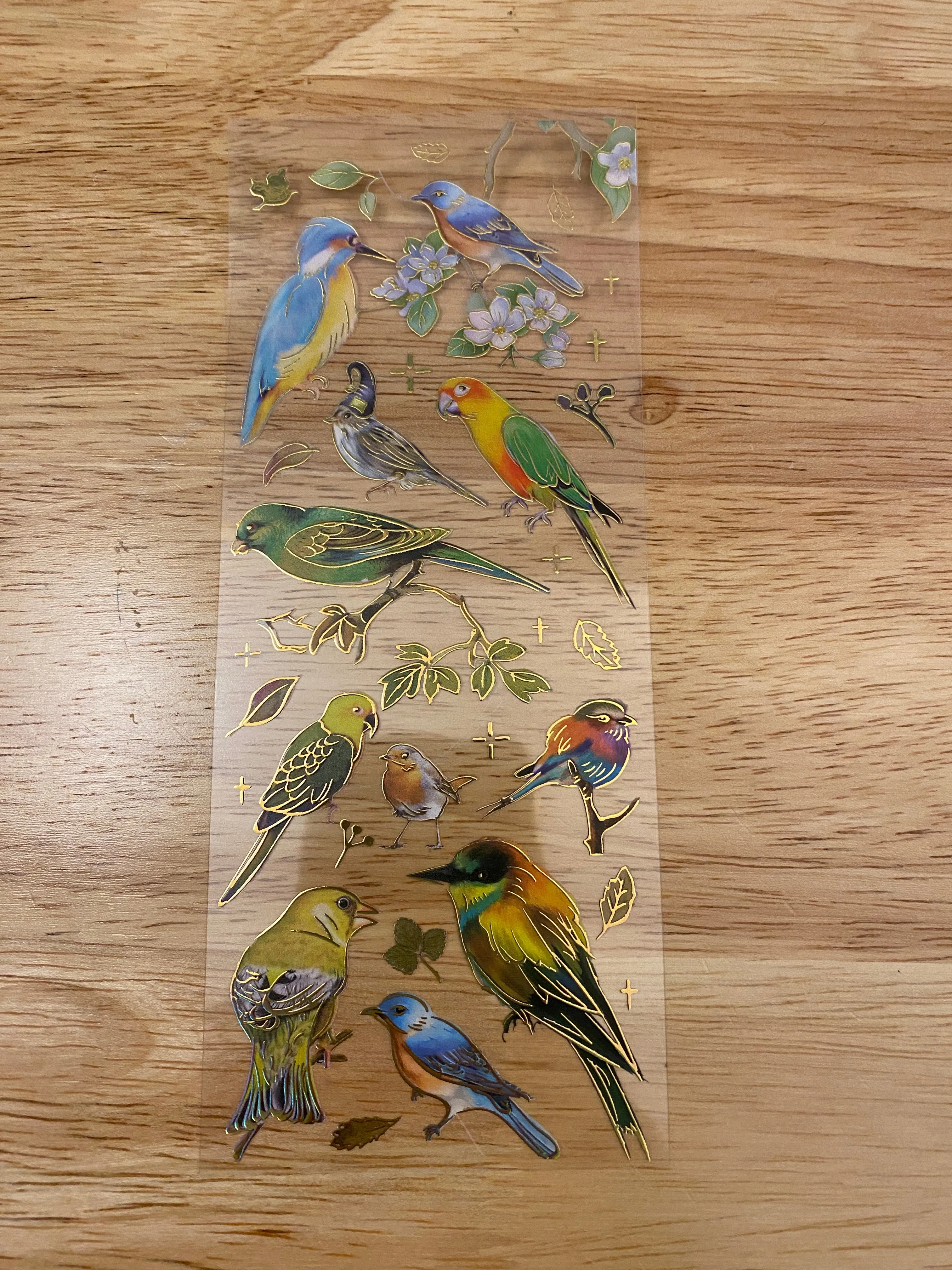 PET Foil Clear Tape with Green Birds