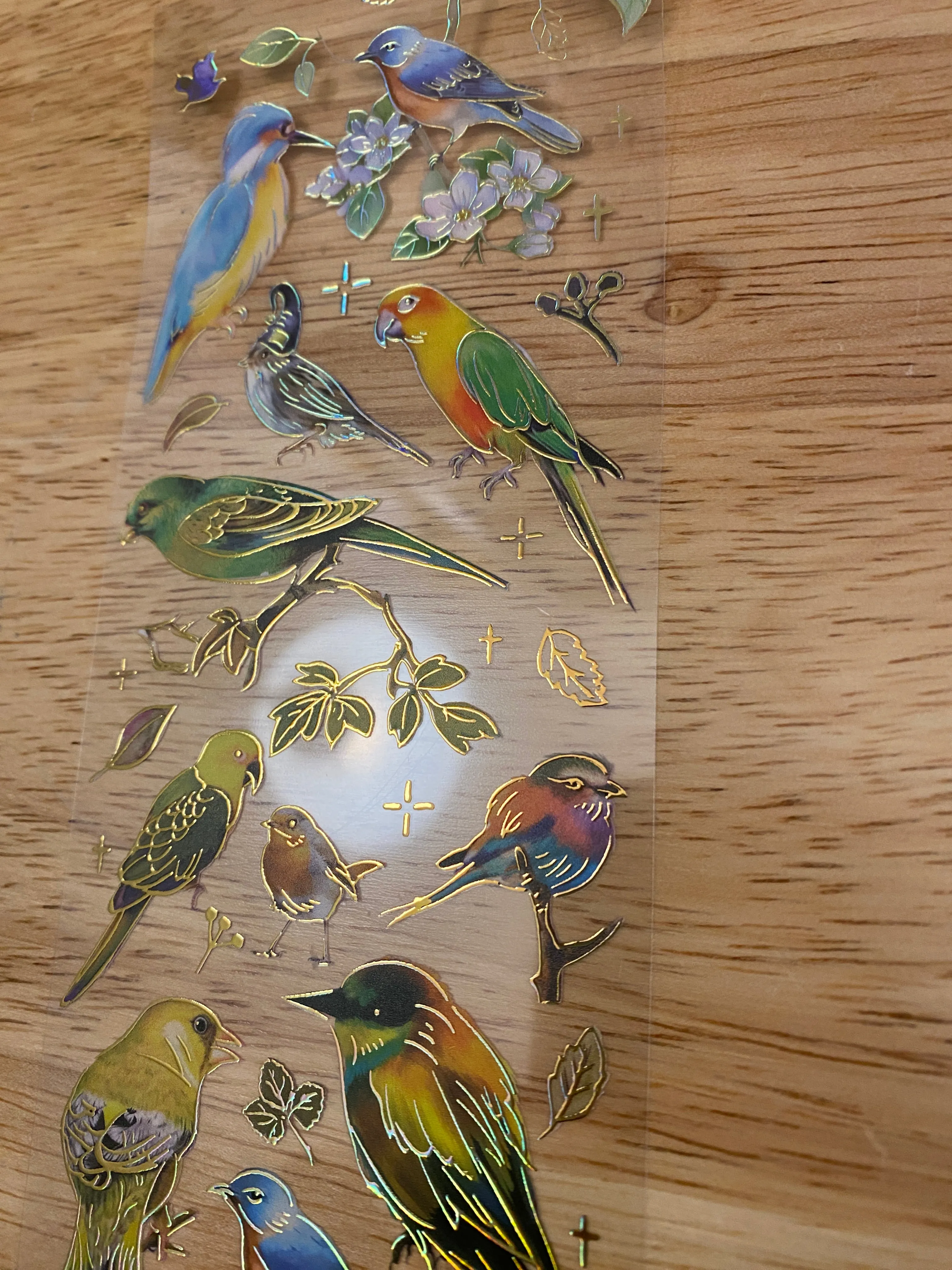 PET Foil Clear Tape with Green Birds