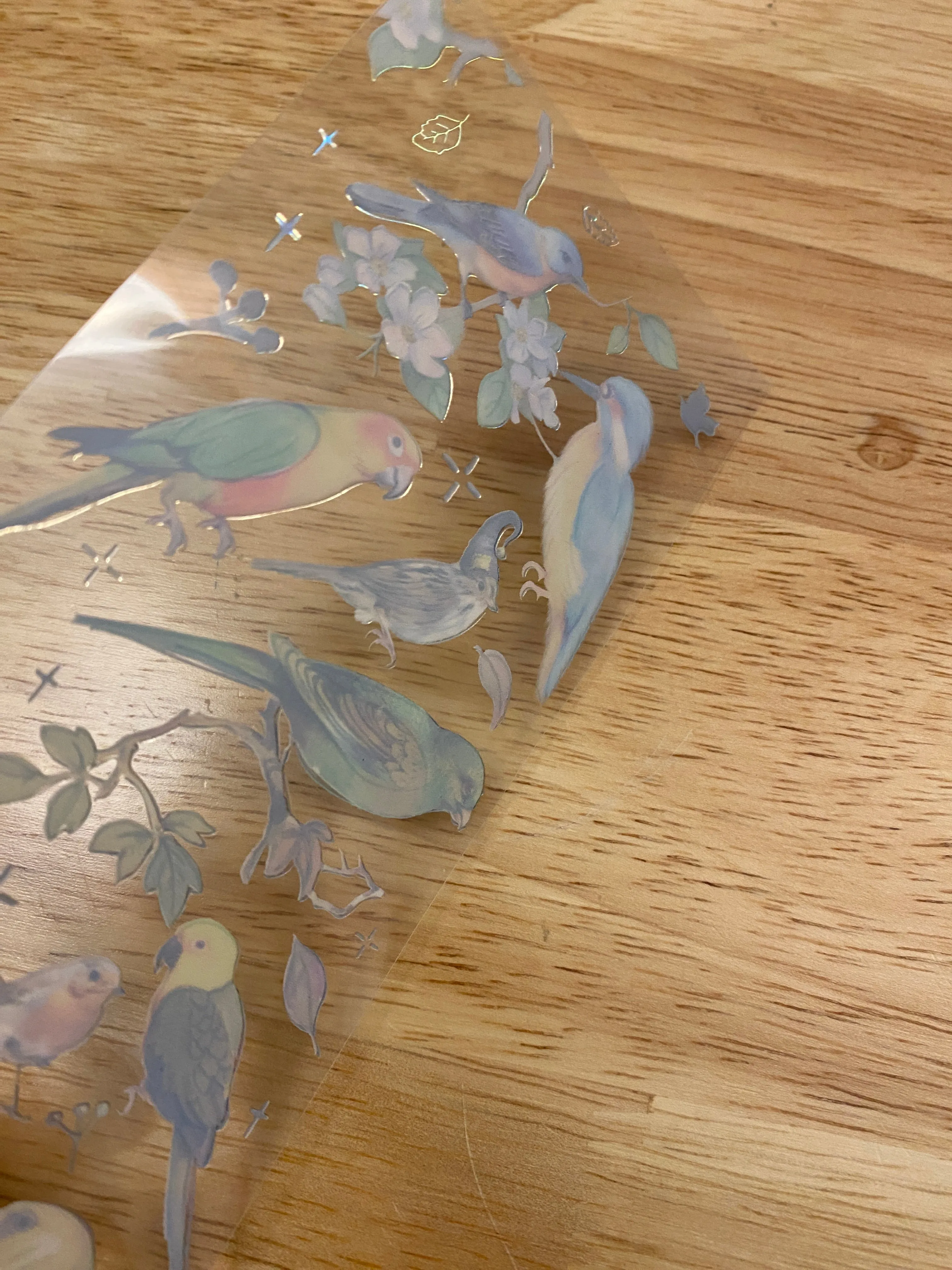 PET Foil Clear Tape with Green Birds