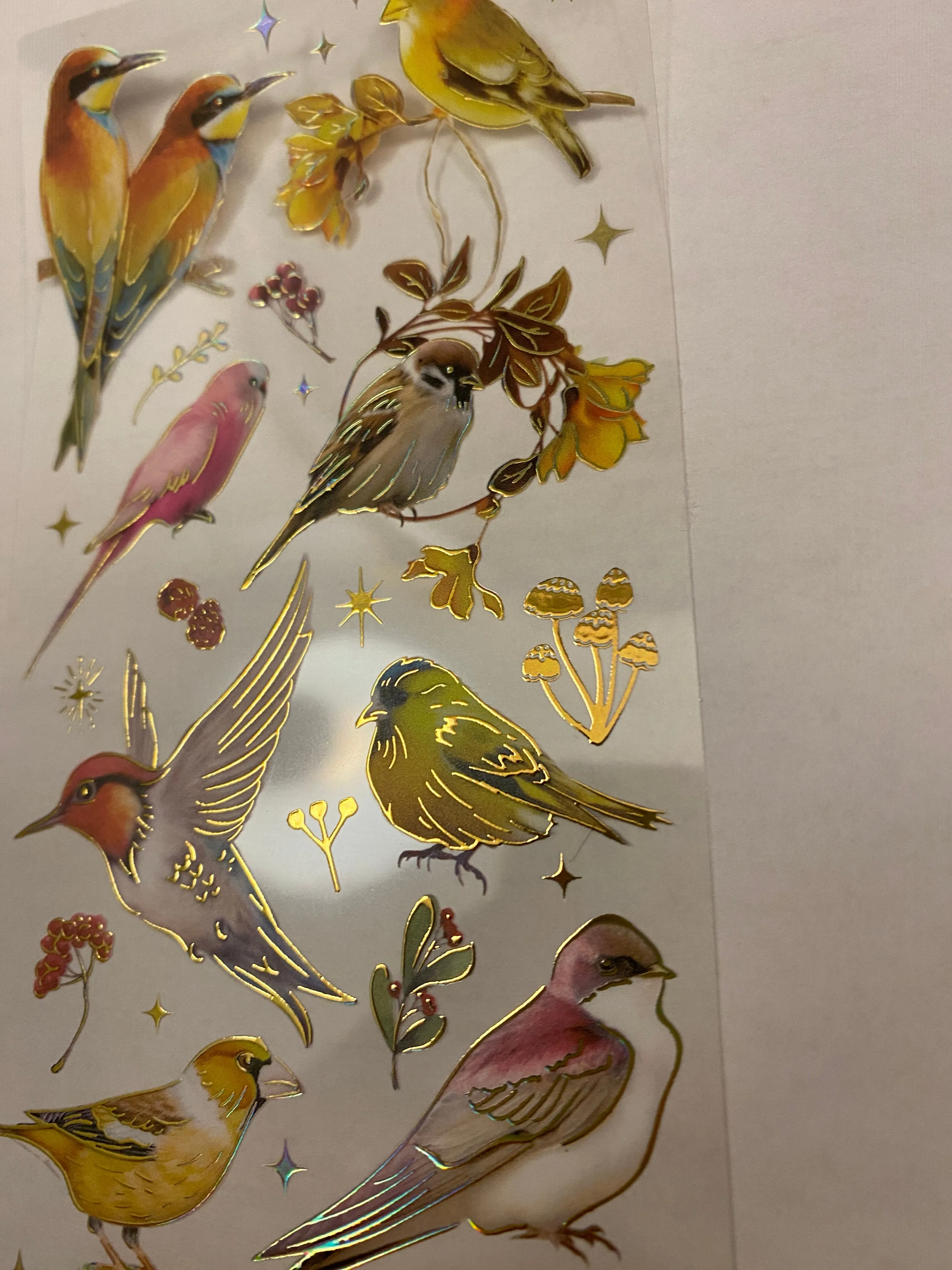 PET Foil Clear Tape with Red Birds