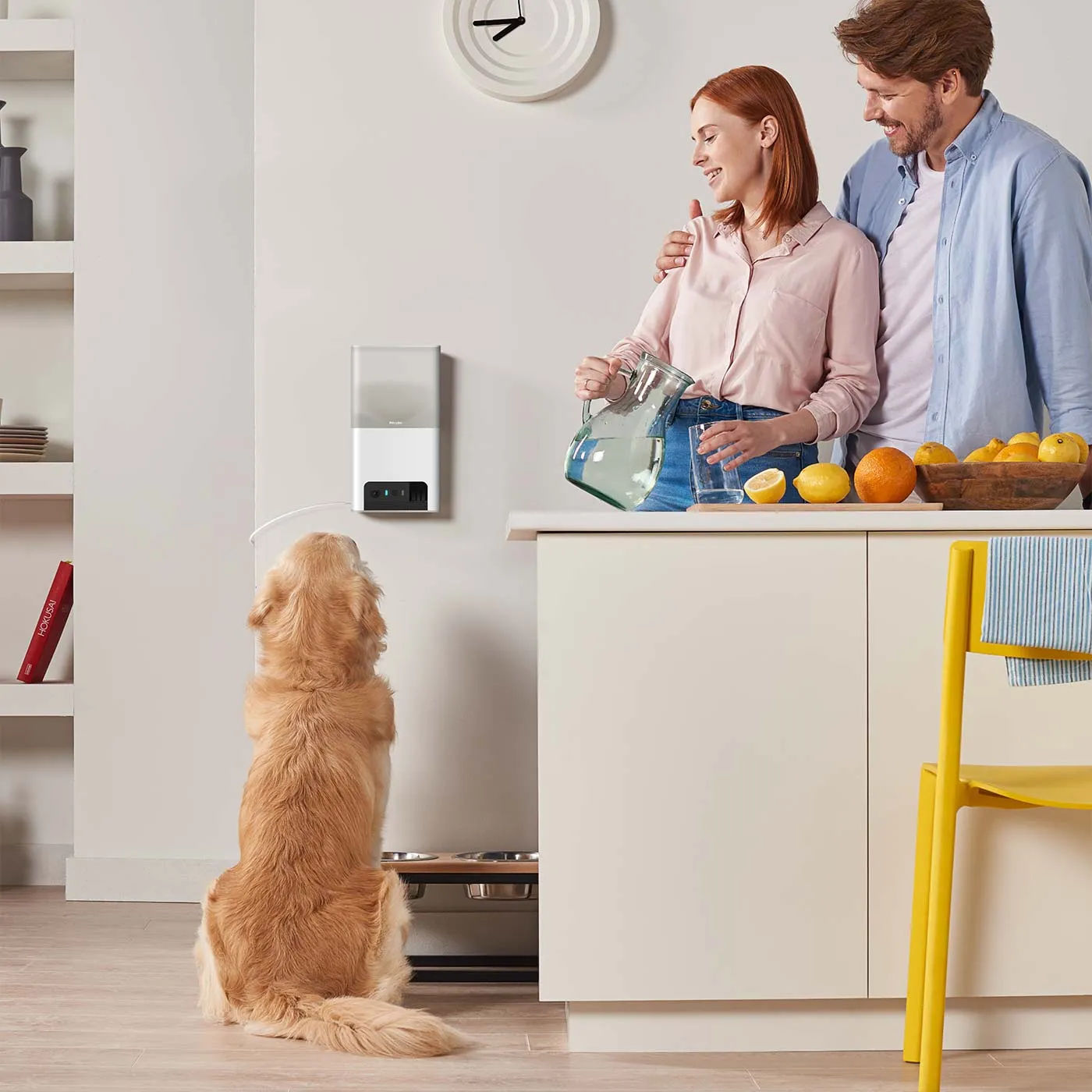 Petcube Bites 2 Lite Interactive Pet Camera With Treat Dispenser