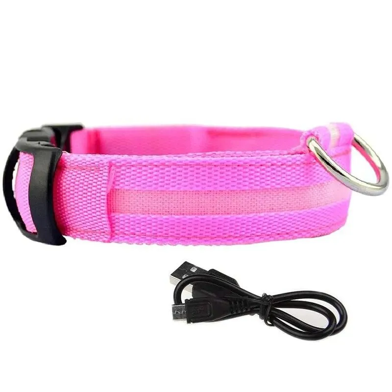 Rechargeable LED Dog Collars