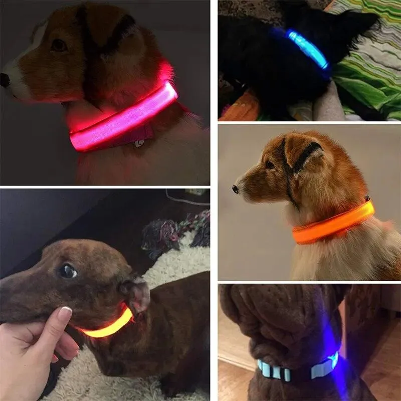 Rechargeable LED Dog Collars