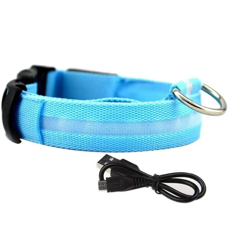 Rechargeable LED Dog Collars