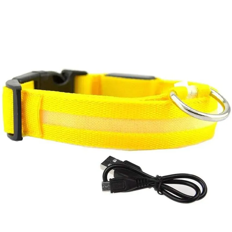 Rechargeable LED Dog Collars