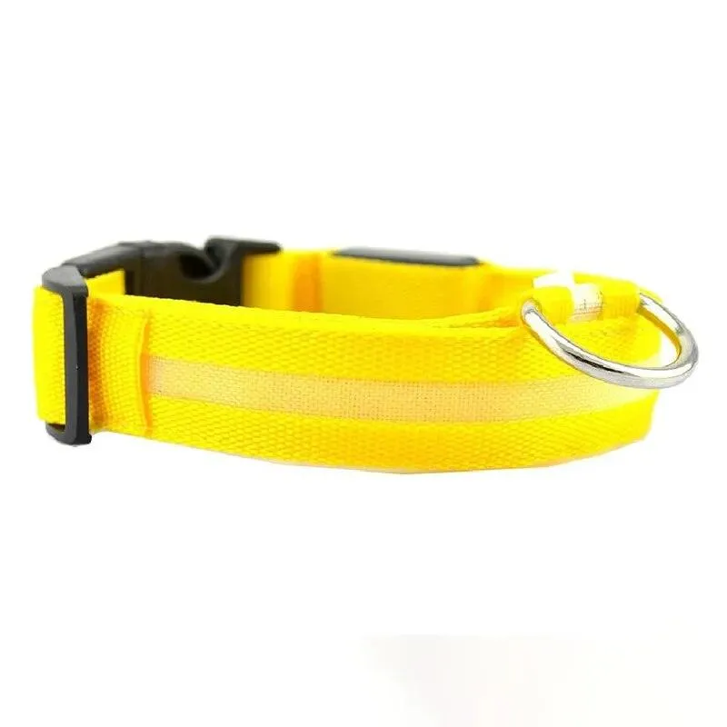 Rechargeable LED Dog Collars