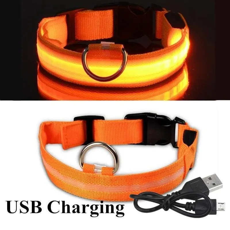 Rechargeable LED Dog Collars