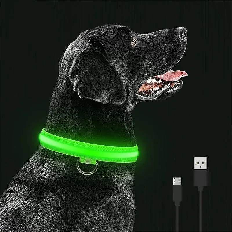 Rechargeable LED Dog Collars