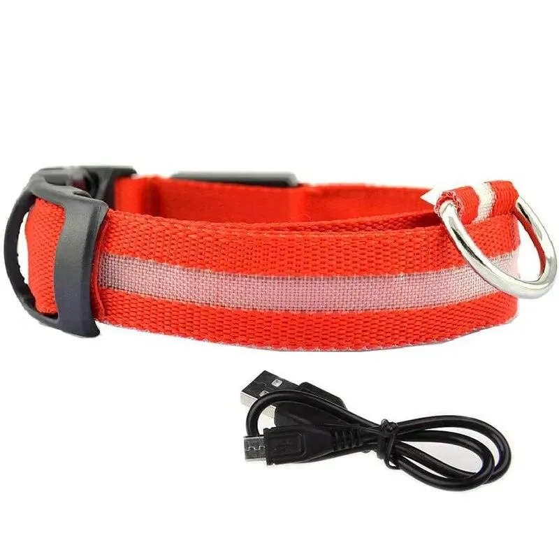 Rechargeable LED Dog Collars