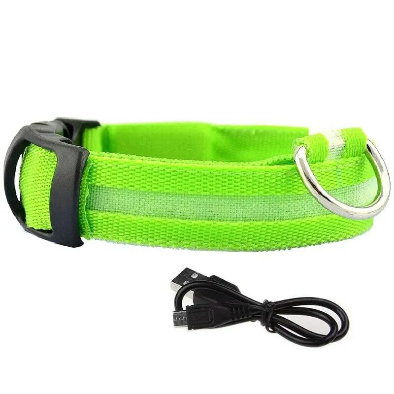 Rechargeable LED Dog Collars