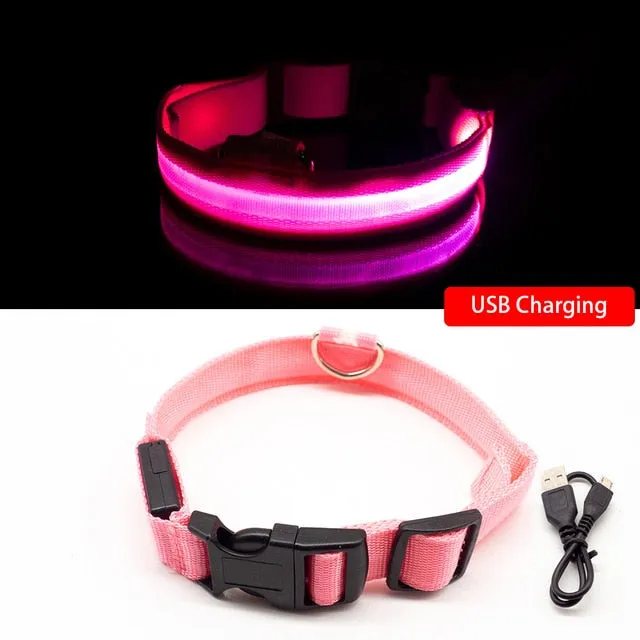 Rechargeable LED Glow Collar