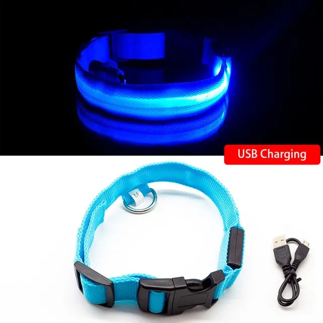 Rechargeable LED Glow Collar