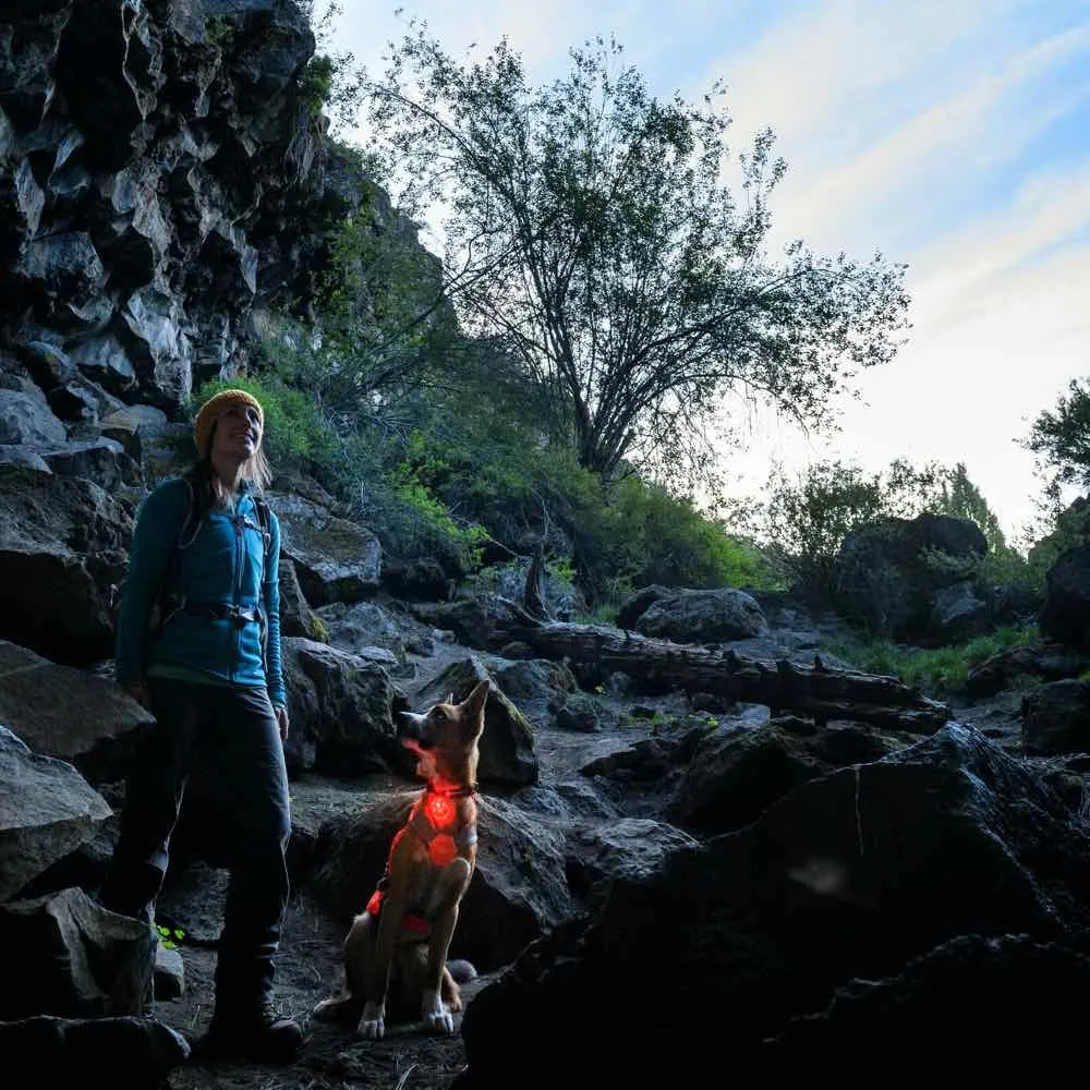 Ruffwear The Beacon Waterproof LED Safety Dog Collar Light