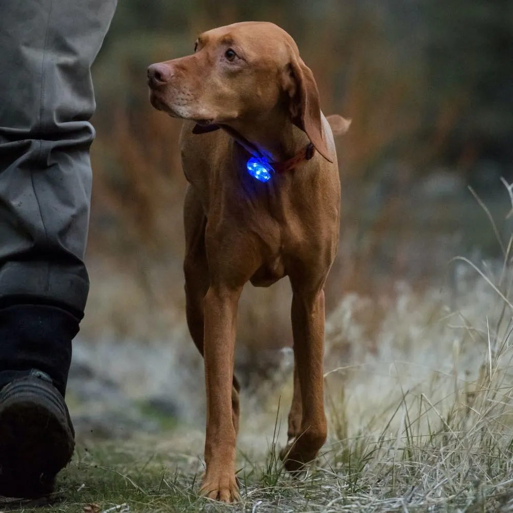 Ruffwear The Beacon Waterproof LED Safety Dog Collar Light