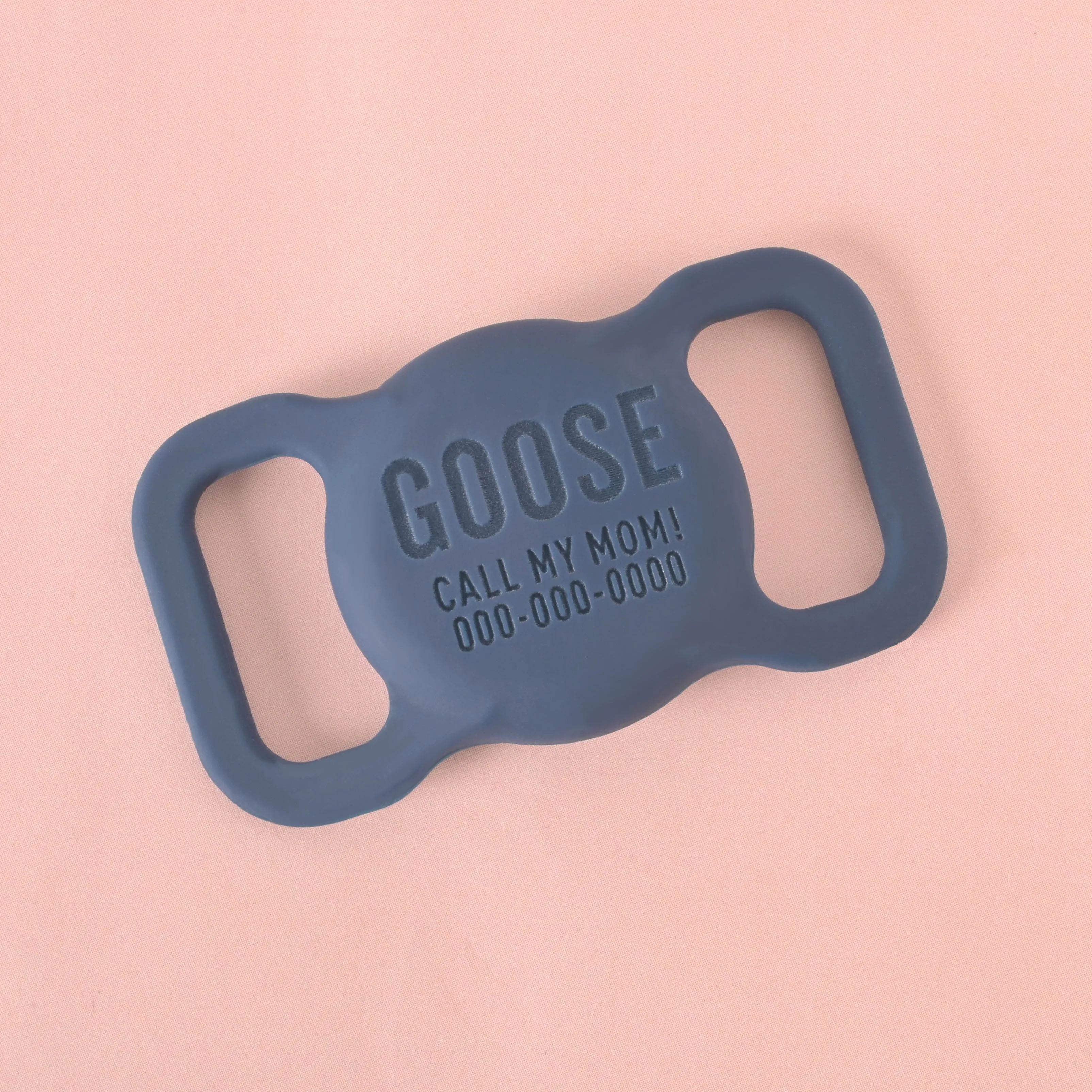 Slide-on Personalized Pet Tag, AirTag holder