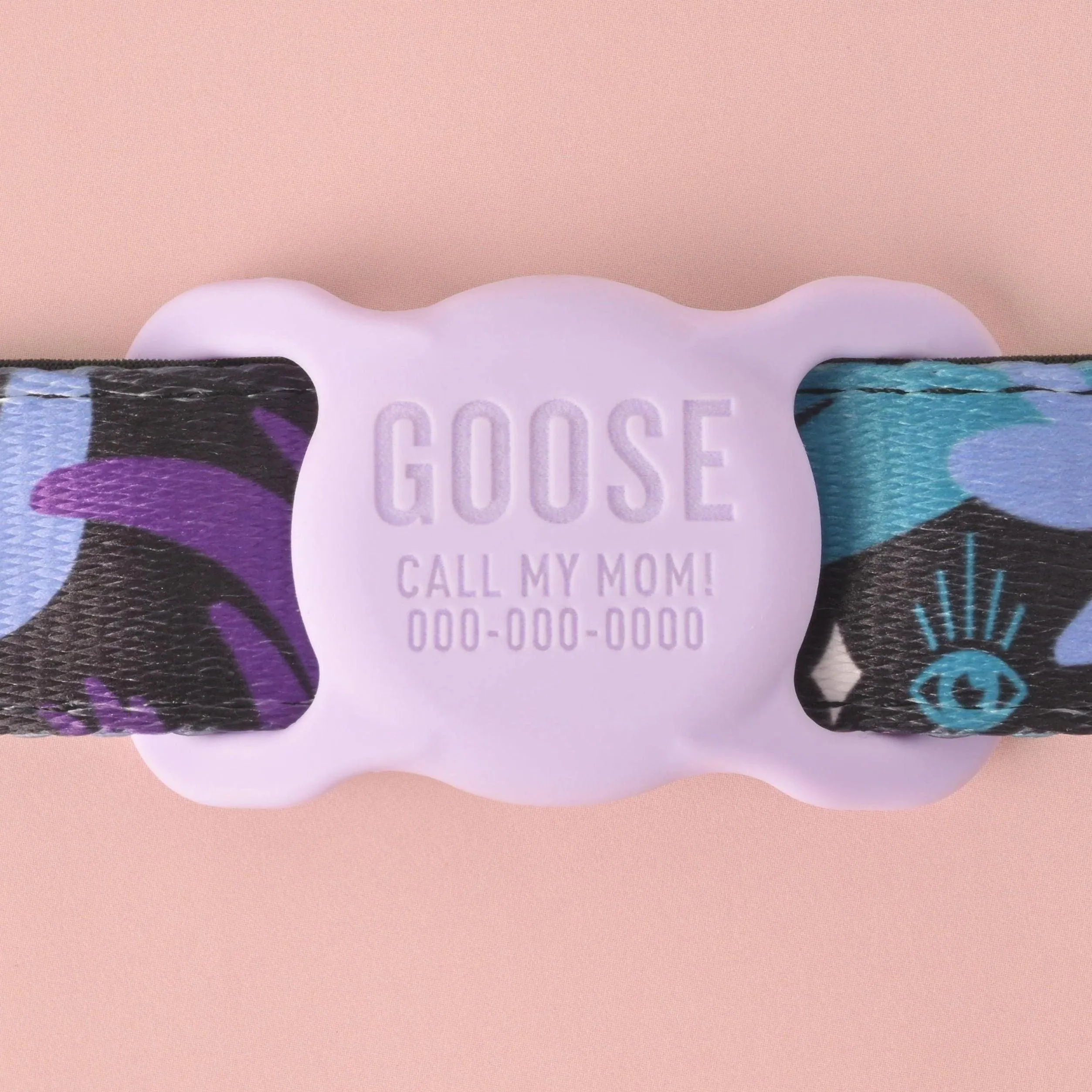 Slide-on Personalized Pet Tag, AirTag holder