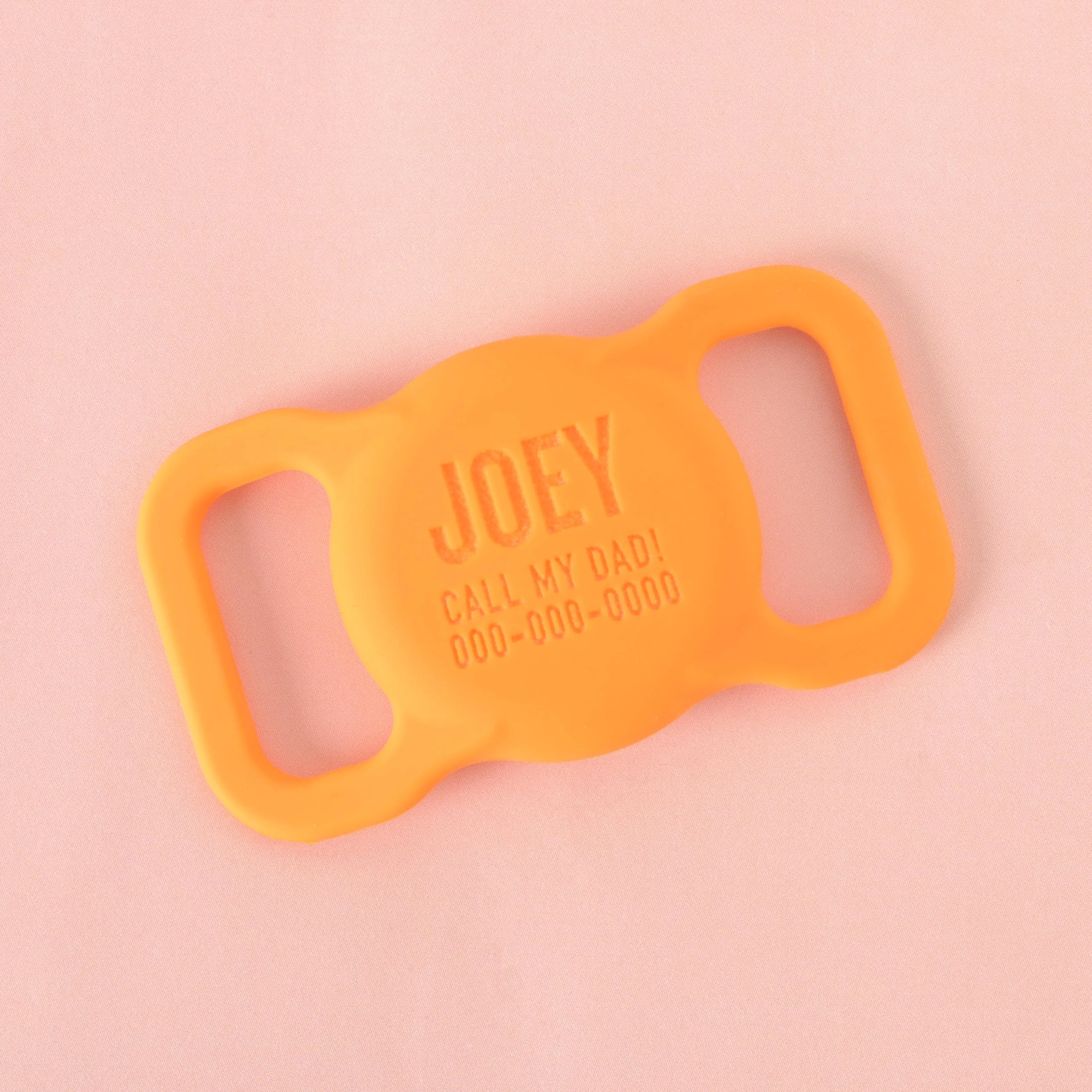 Slide-on Personalized Pet Tag, AirTag holder