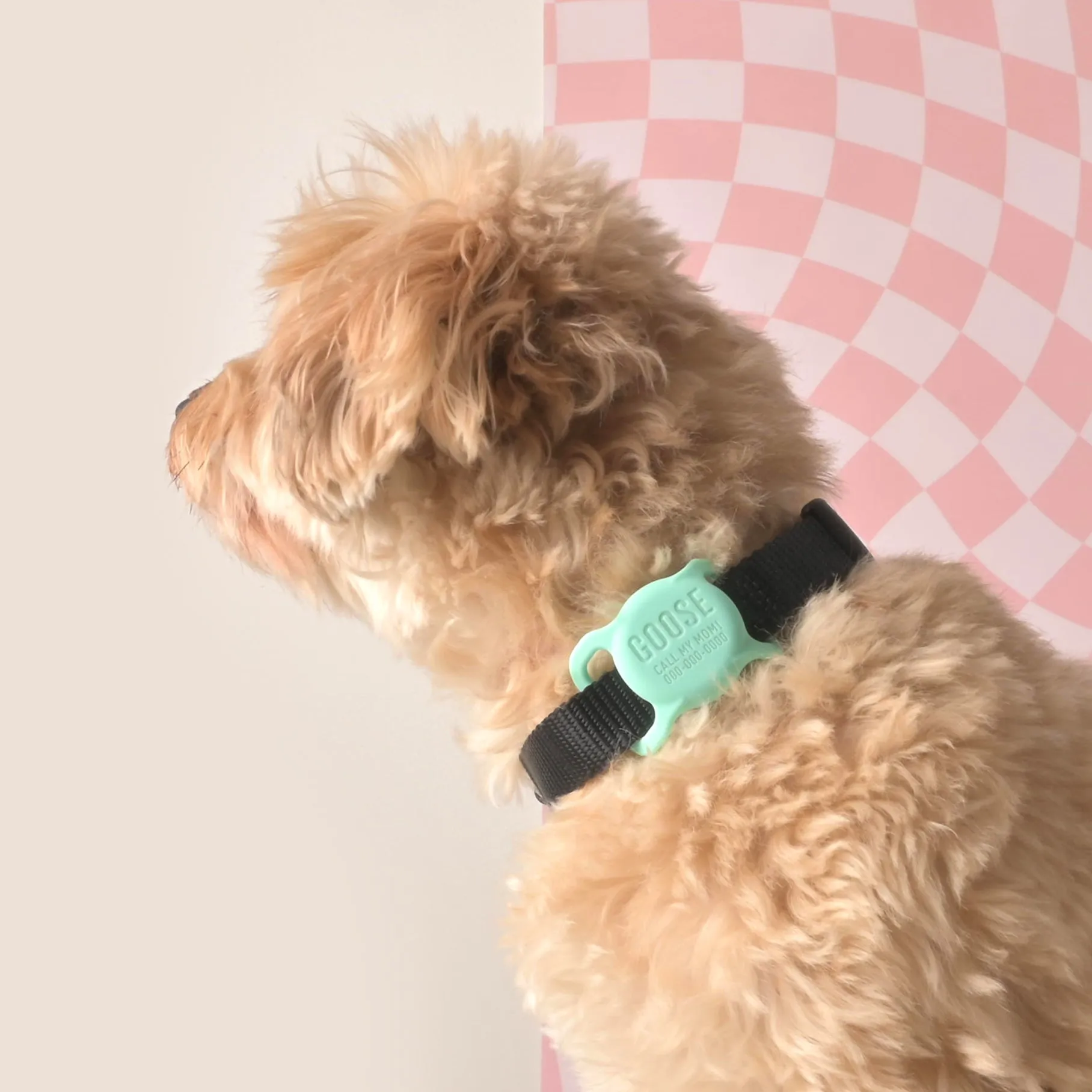 Slide-on Personalized Pet Tag, AirTag holder