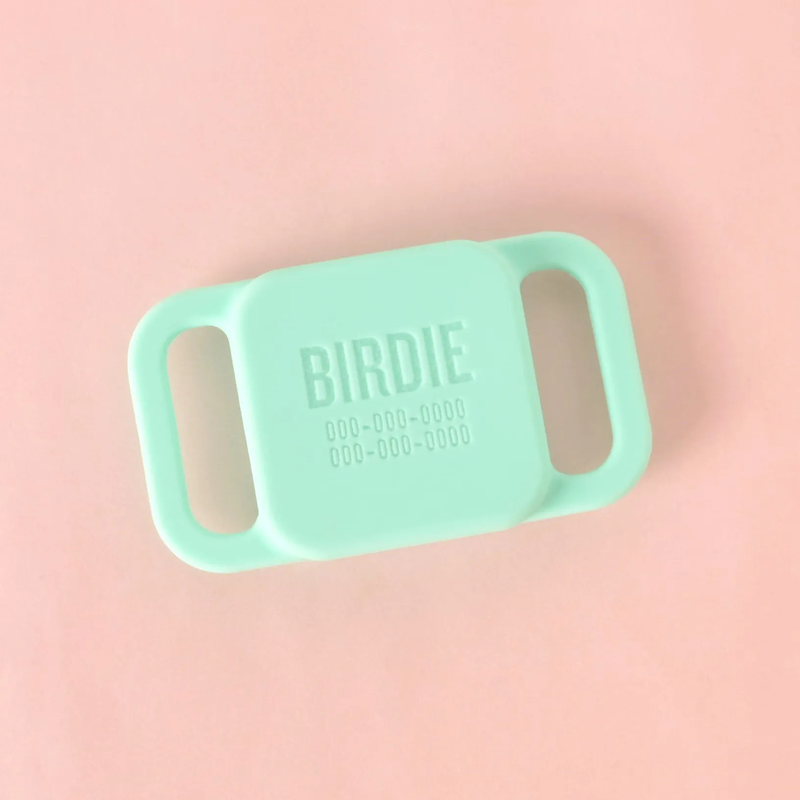 Slide-on Personalized Pet Tag, Tile Mate holder