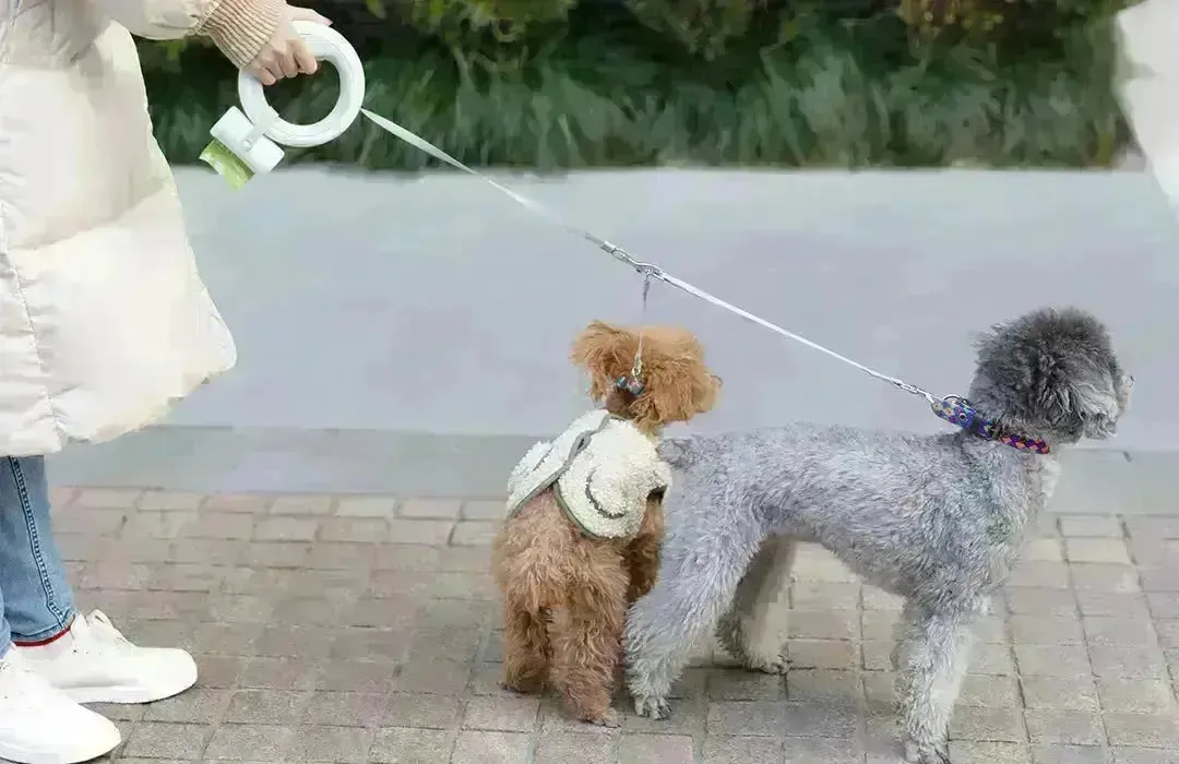 Smart LED Retractable Dog Leash - Type A