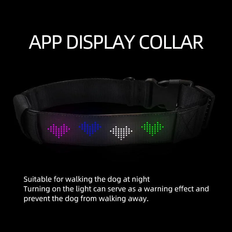 Smart Paws LED Dog Collar