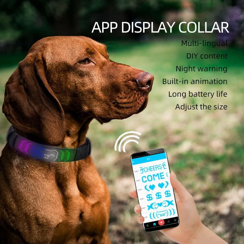 Smart Paws LED Dog Collar