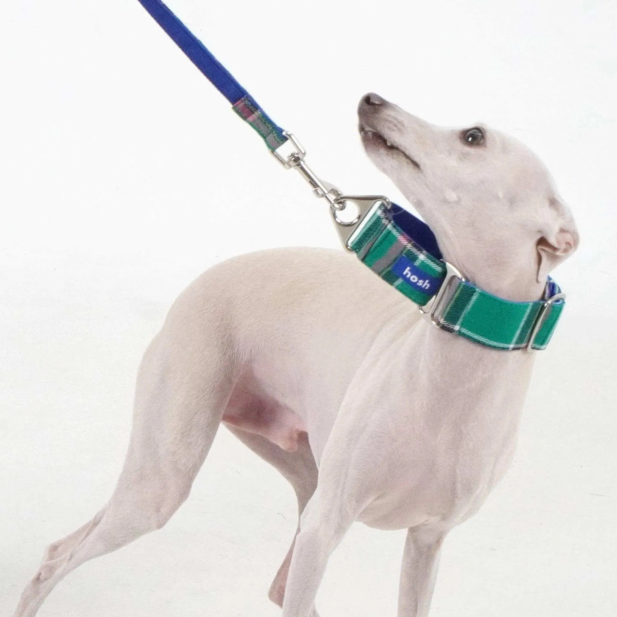 Tartan Pattern Martingale Collar   Leash Set | Green