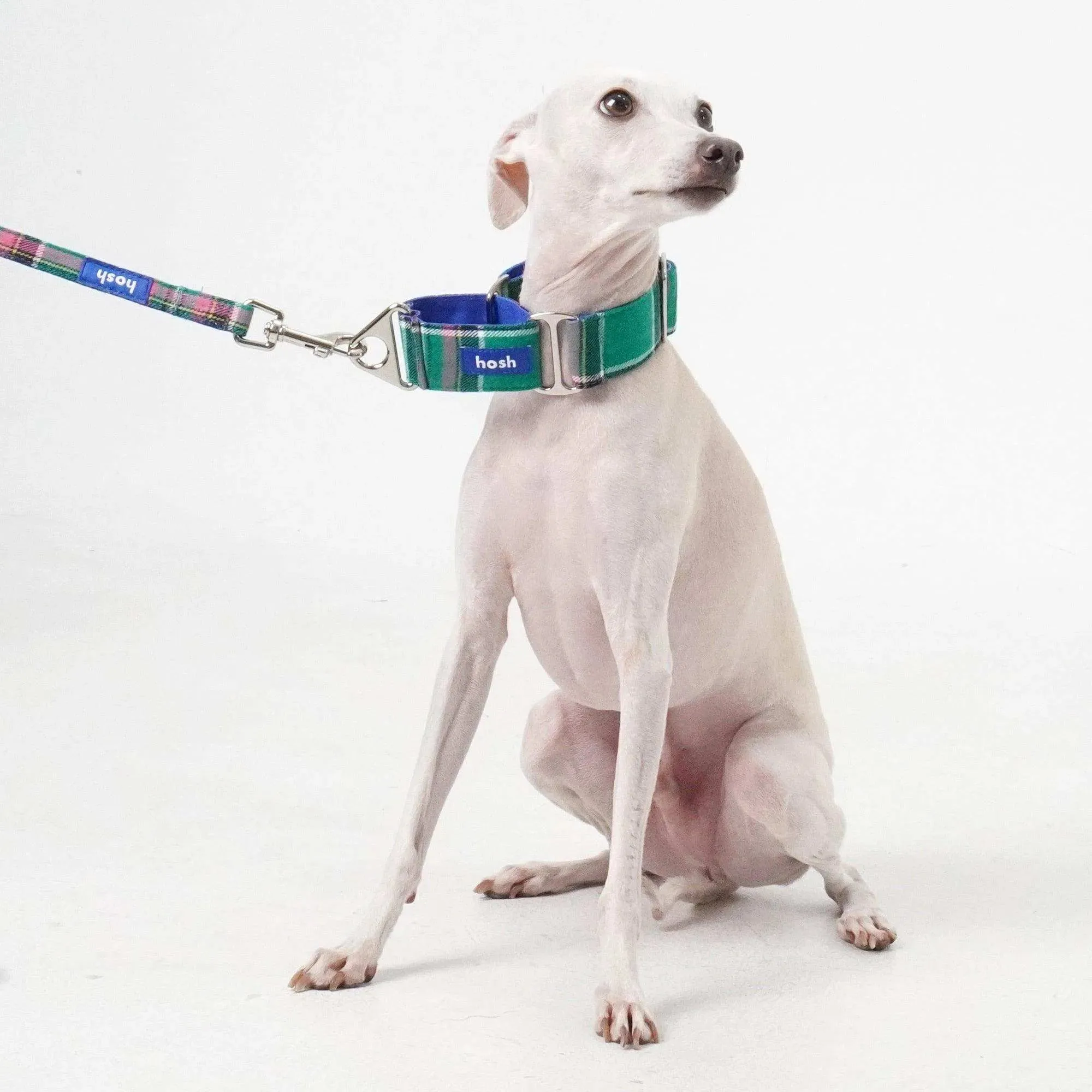 Tartan Pattern Martingale Collar   Leash Set | Green