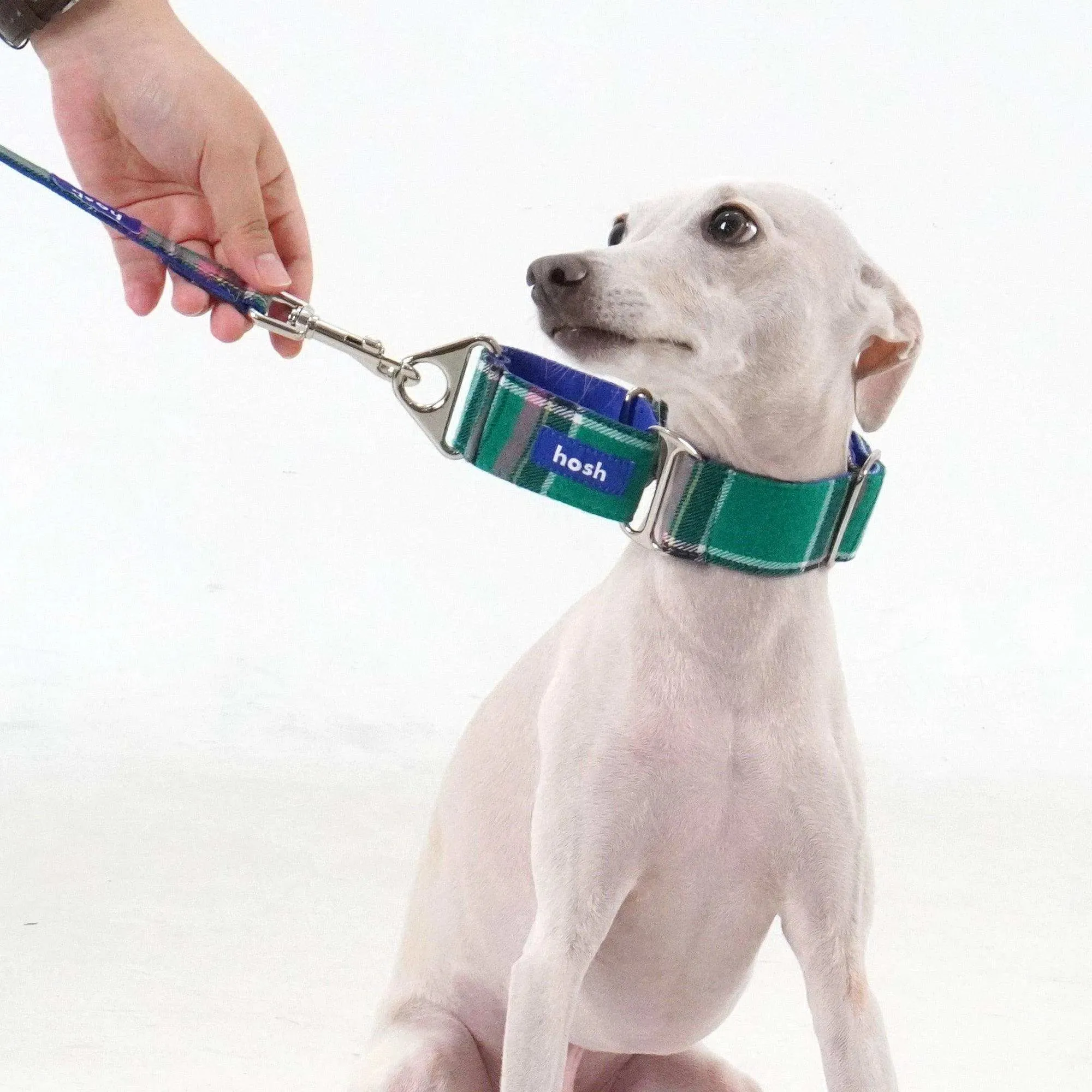 Tartan Pattern Martingale Collar   Leash Set | Green