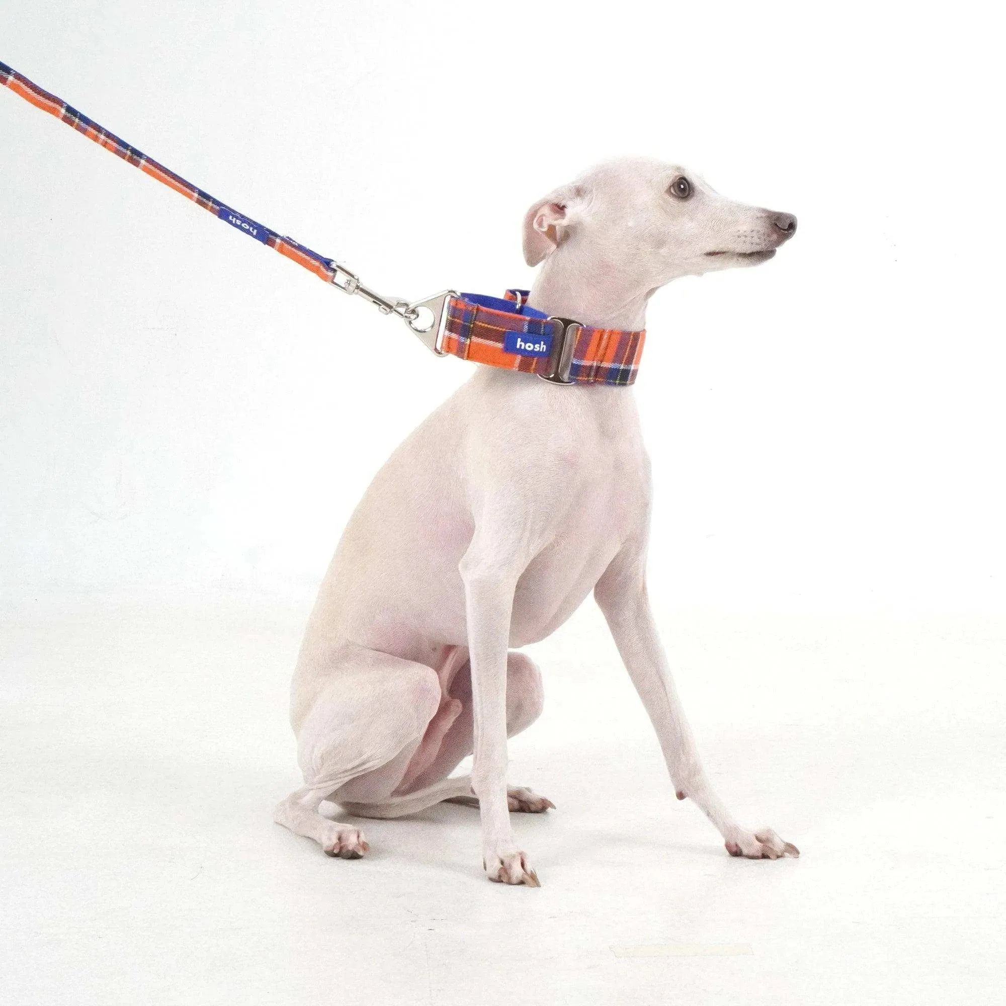 Tartan Pattern Martingale Collar   Leash Set | Orange