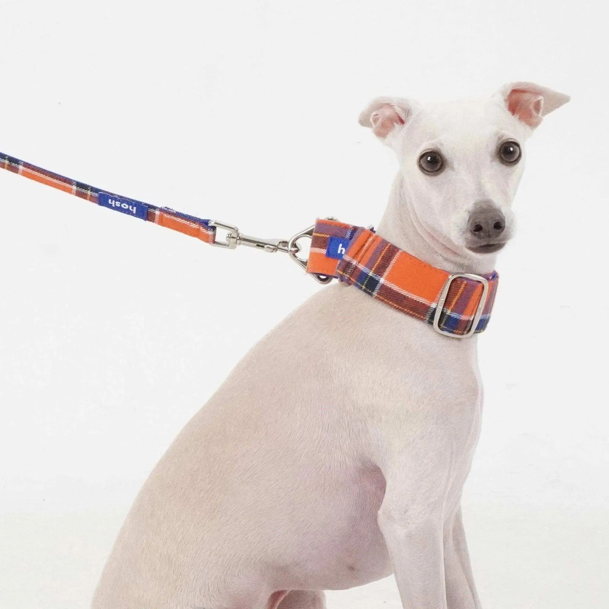 Tartan Pattern Martingale Collar   Leash Set | Orange