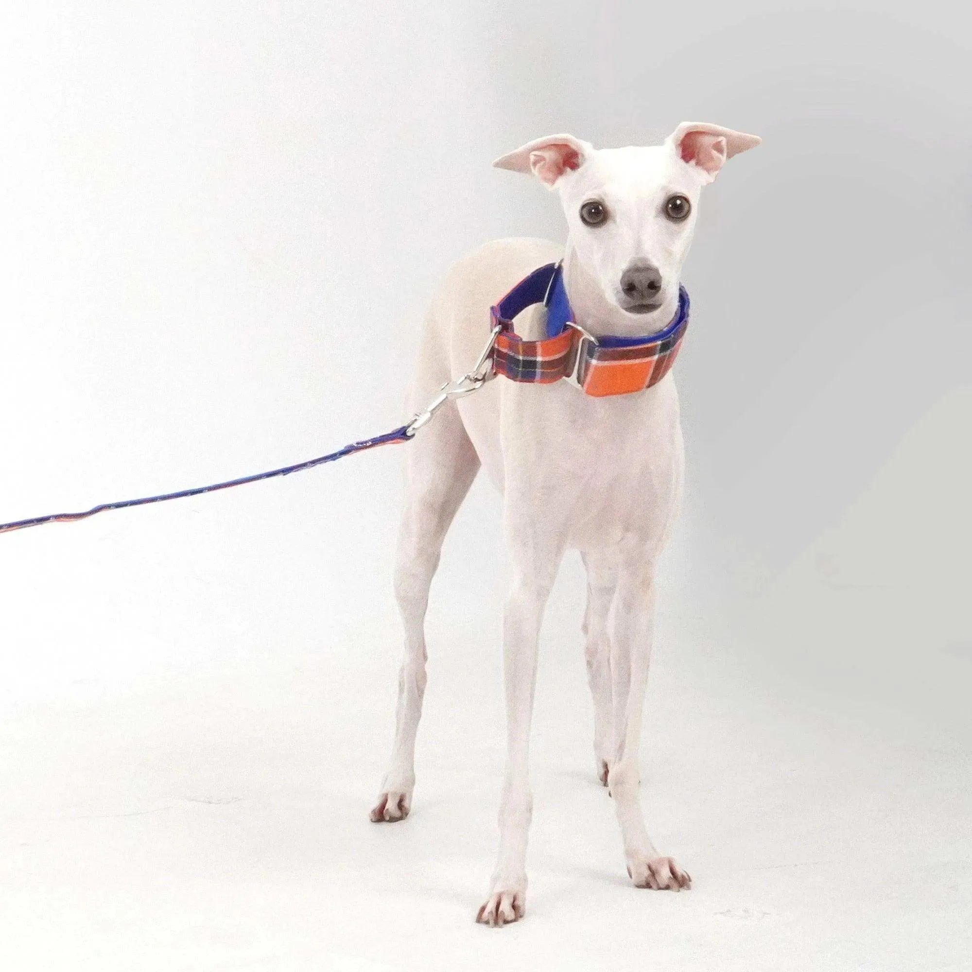 Tartan Pattern Martingale Collar   Leash Set | Orange