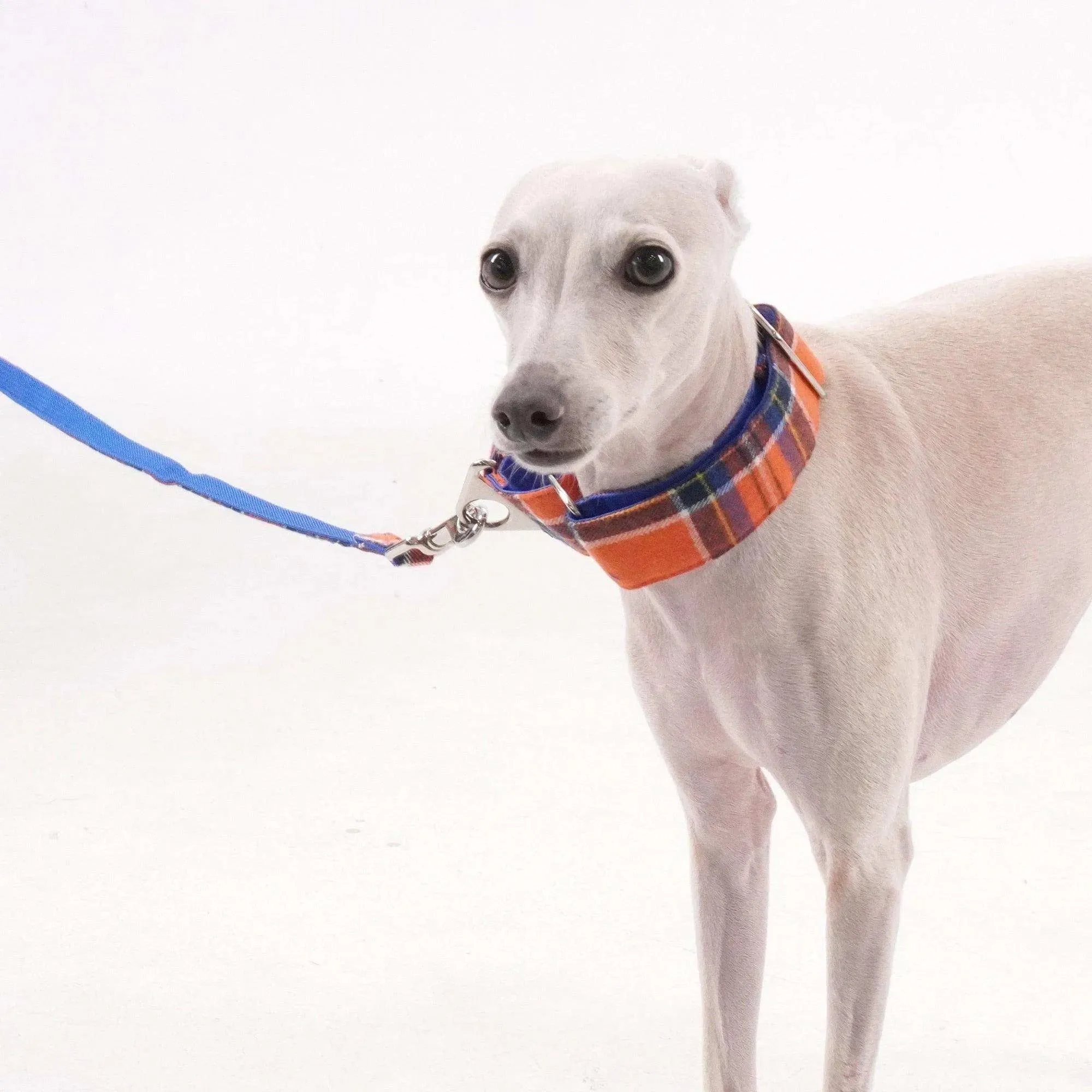 Tartan Pattern Martingale Collar   Leash Set | Orange