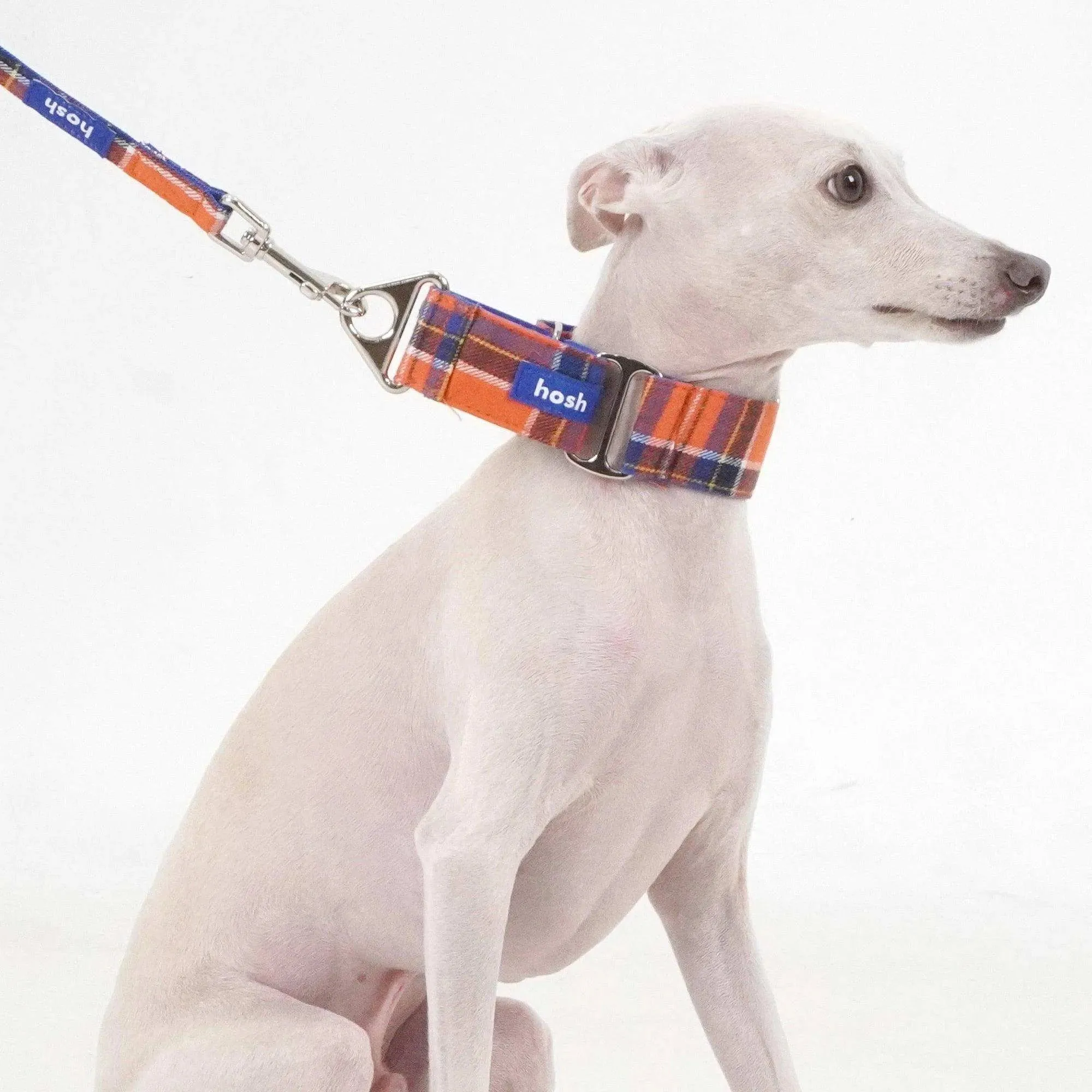 Tartan Pattern Martingale Collar   Leash Set | Orange