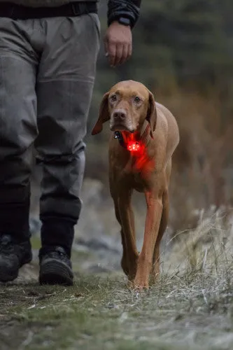 The Beacon USB Safety Light