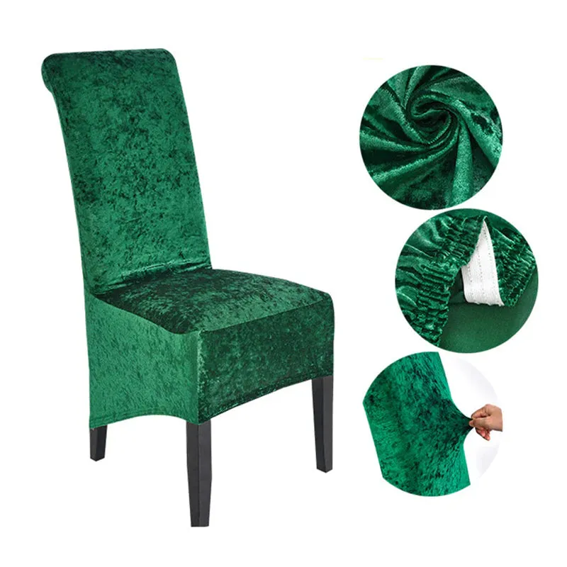 Trendily Premium Wrinkle-Free Stretchable | Washable Plain|Velvet Chair Covers |Rama Green (CC-135)