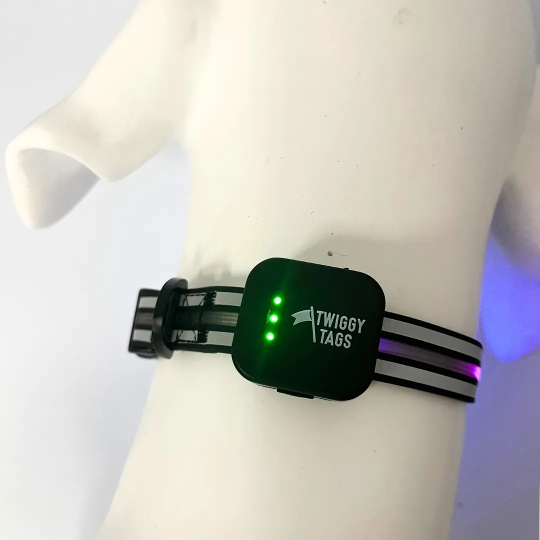 Twiggy Tags TrekBright Light-Up Collar